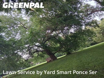 Yard Mowing nearby Montgomery, IL, 