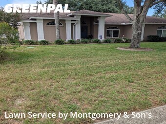 Grass Cut nearby Lakeland, FL, 