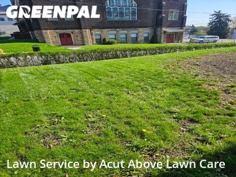 Yard Cutting nearby Pittsburgh, PA, 