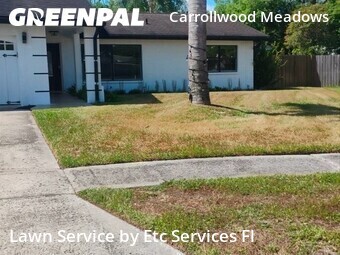 Yard Mowing nearby Tampa, FL, 