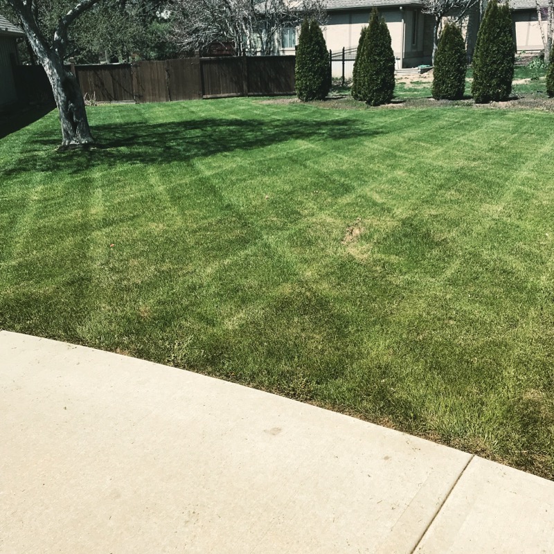 Frye And Sons Lawn Lawn Care Services in Mission, KS