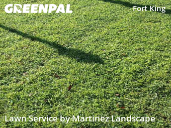 Lawn Mowing nearby Ocala, FL, 