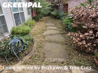 Grass Cutting nearby Irving, TX, 
