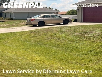 Lawn Care nearby Cape Coral, FL, 