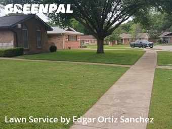 Yard Cuttingin Richardson,75080,Grass Cutting by Edgar Ortiz Sanchez, work completed in Jun , 2026