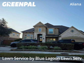 Yard Management in Richmond, 77407, Yard Work by Blue Lagoon Lawn Serv, work completed in Dec , 2025