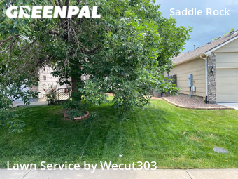 Grass Cut nearby Aurora, CO, 