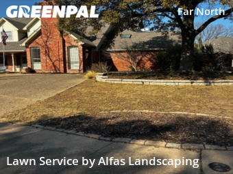 Lawn Carein Dallas,75248,Grass Cutting by Alfas Landscaping, work completed in Feb , 2026