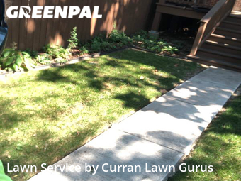 Lawn Service nearby St. Louis, IL, 