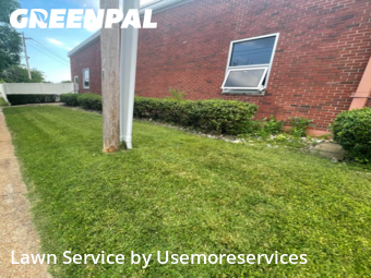 Yard Cutting nearby St. Louis, MO, 