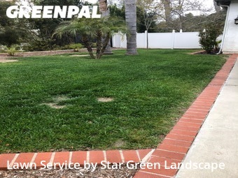 Lawn Maintenance nearby Escondido, CA, 