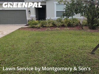 Lawn Mowing nearby Lakeland, FL, 