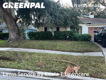Lawn Care Servicein Atlantic Beach,32233,Yard Cutting by Koala T Lawncare, work completed in Jan , 2026