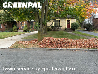 Grass Cut nearby Cleveland Heights, OH, 
