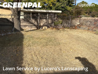 Affordable Landscaping Maintenance Services In Albuquerque,87110,Landscaping Maintenance by Lucero’s Lanscaping, work completed in Nov , 2025