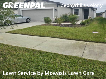 Yard Cutting nearby Zephyrhills, FL, 