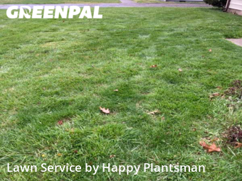 Lawn Service nearby Cincinnati, OH, 