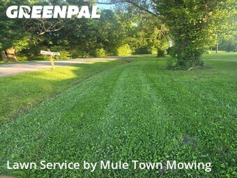 Lawn mowed in Columbia, 38401