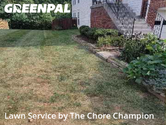 Grass Cut nearby Broadlands, VA, 