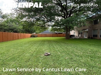 Lawn Mowing nearby San Antonio, TX, 