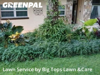 Lawn Servicein Altamonte Springs,32701,Lawn Care by Big Tops Lawn &Care, work completed in Nov , 2025