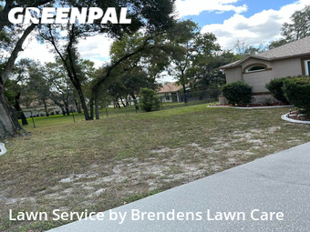 Lawn Cutting nearby Spring Hill, FL, 