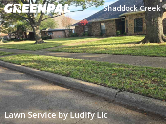 Yard Mowing nearby Frisco, TX, 