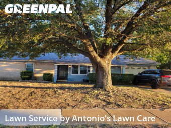 Yard Mowingin Euless,76039,Grass Cut by Antonio's Lawn Care, work completed in Dec , 2025