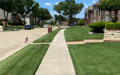 Local Lawn care service near me in Redmond, WA, 98052