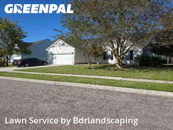Turf Services in Charleston, 29414, Lawn Upkeep by Bdrlandscaping, work completed in Nov , 2025