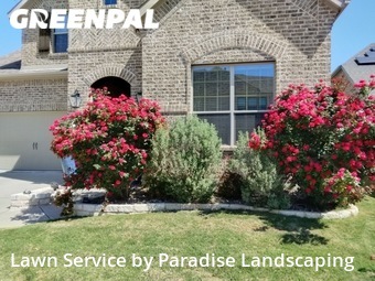 Grass Cutting nearby Mc Kinney, TX, 