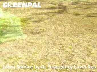 Lawn Care Service nearby Irving, TX, 