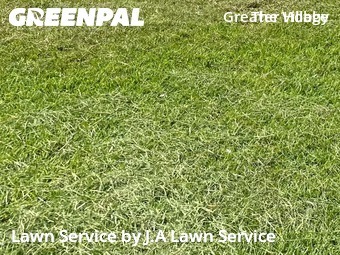 Lawn Carein Spring,77380,Lawn Mowing by J.A Lawn Service, work completed in Dec , 2025