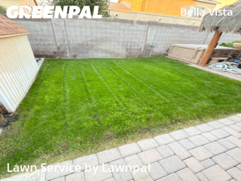 Landscaping In Gilbert,85295,Landscaping Cleanup by Lawnpal, work completed in Nov , 2025