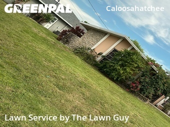 Grass Cutting nearby Cape Coral, FL, 