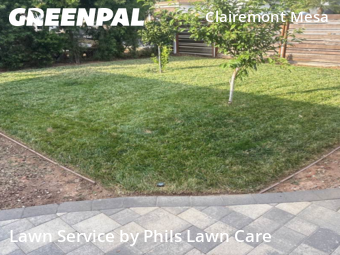 Work completed by affordable-landscaping-maintenance-services-in-San Diego-CA