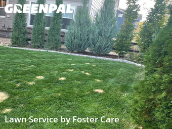 Lawn Mowing Service nearby Broomfield, CO, 