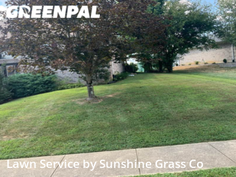Lawn Care Service nearby New Albany, IN, 