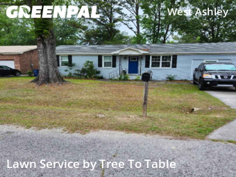 Lawn Maintenance nearby Charleston, SC, 