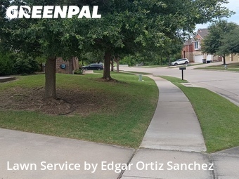 Lawn Cut nearby Sachse, TX, 