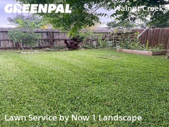 Yard Cutting nearby Rosenberg, TX, 