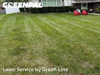 Grass Care in Romeoville, 60446, Landscaping Maintenance by Green Line, work completed in Nov , 2025