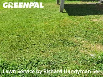 Lawn Mow nearby Newark, DE, 