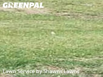 Lawn Mowing nearby Mesquite, TX, 