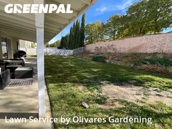Lawn Service nearby Lancaster, CA, 