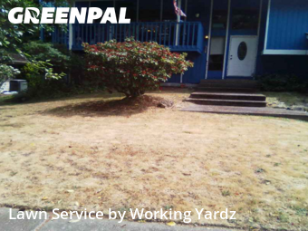 Front Yard Mowing in Federal Way, 98003, Backyard Mowing by Working Yardz, work completed in Aug , 2025