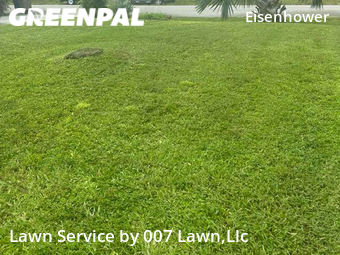 Yard Cutting nearby Lehigh Acres, FL, 