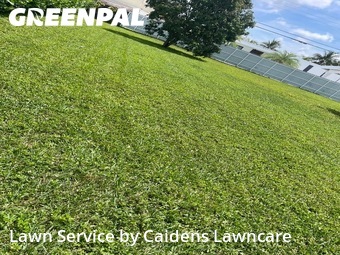 Yard Cuttingin Miami,33165,Lawn Mow by Caidens Lawncare , work completed in Jun , 2026
