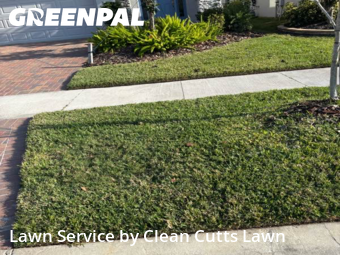 Lawn mowed in Apollo Beach, 33572