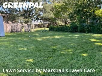 Grass Cut nearby Metairie, LA, 